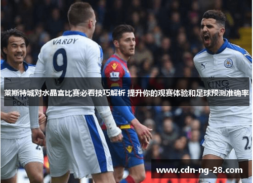 莱斯特城对水晶宫比赛必看技巧解析 提升你的观赛体验和足球预测准确率 莱斯特城对水晶宫比赛必看技巧解析 提升你的观赛体验和足球预测准确率