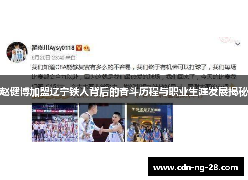 赵健博加盟辽宁铁人背后的奋斗历程与职业生涯发展揭秘
