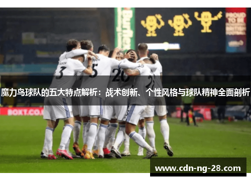 魔力鸟球队的五大特点解析：战术创新、个性风格与球队精神全面剖析