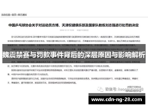 魏震禁赛与罚款事件背后的深层原因与影响解析