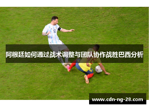 阿根廷如何通过战术调整与团队协作战胜巴西分析