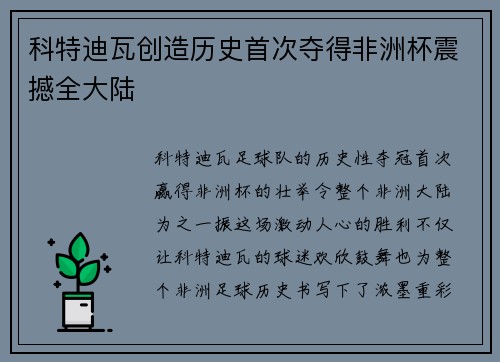 科特迪瓦创造历史首次夺得非洲杯震撼全大陆